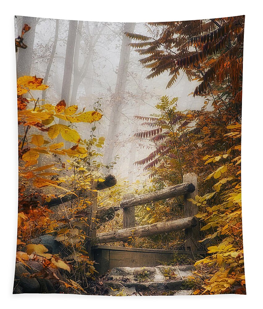 Bridge Tapestry featuring the photograph Misty Footbridge by Scott Norris