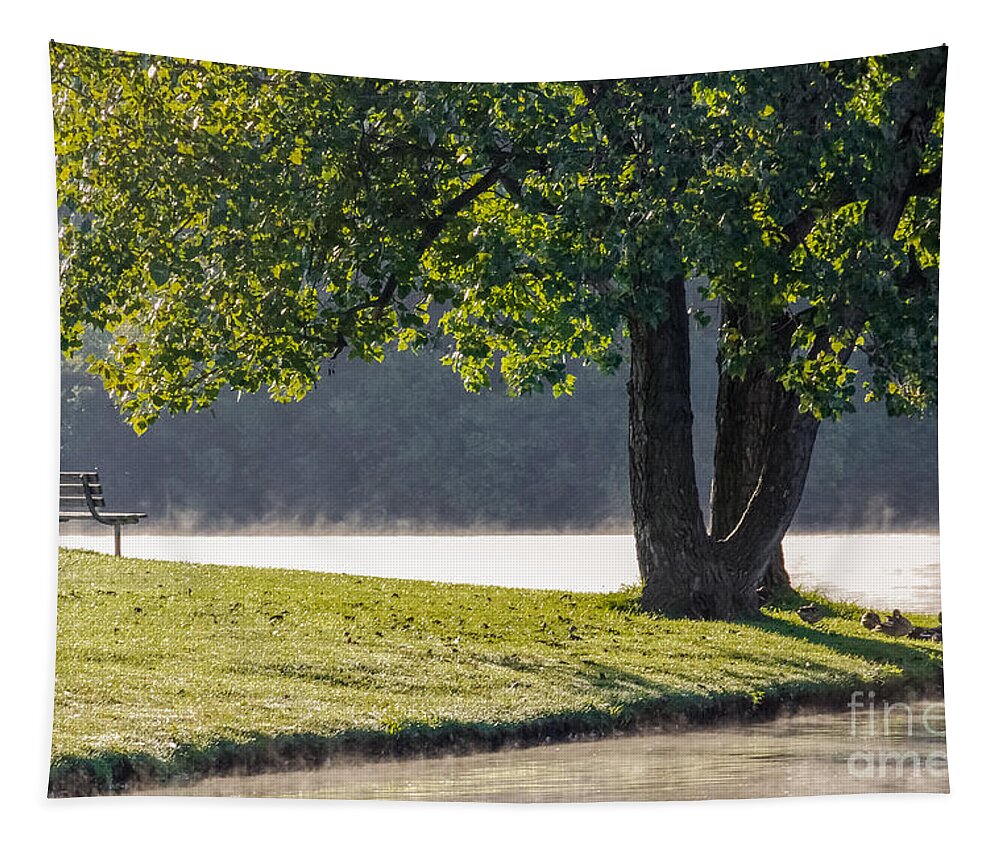 Al Andersen Tapestry featuring the photograph Misty Morning At Hudson Springs by Al Andersen