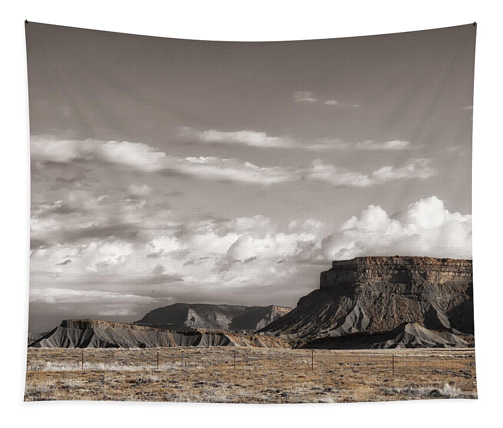 Utah Tapestry featuring the photograph Moab Vista by Allan Van Gasbeck