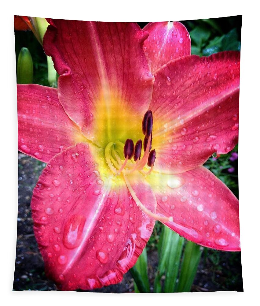 Daylilly Tapestry featuring the photograph Mom's Secret Garden by John Duplantis
