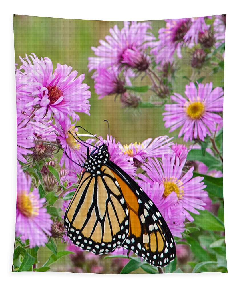 Butterfly Tapestry featuring the photograph Monarch 1 by Susan McMenamin
