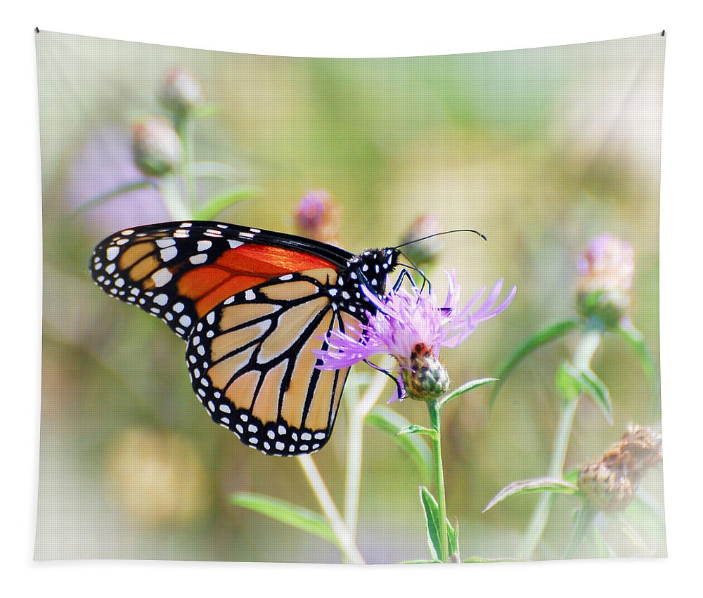 Monarch Butterfly Tapestry featuring the photograph Monarch Butterfly by Kerri Farley
