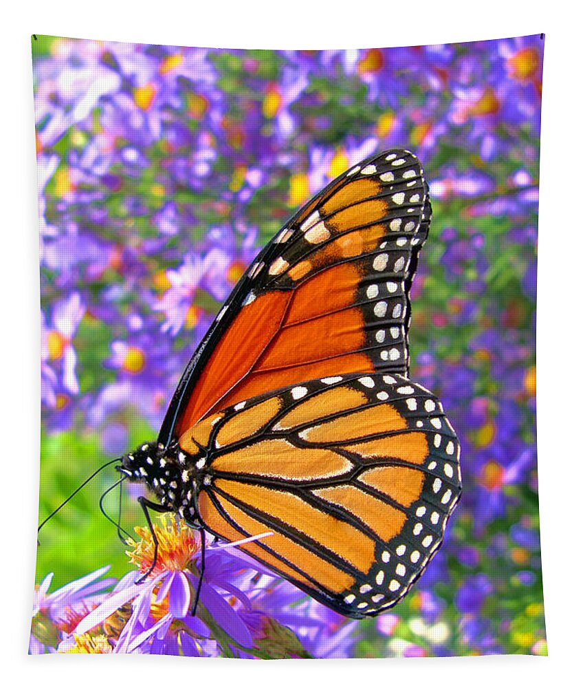 Butterfly Tapestry featuring the photograph Monarch Butterfly by Olivier Le Queinec