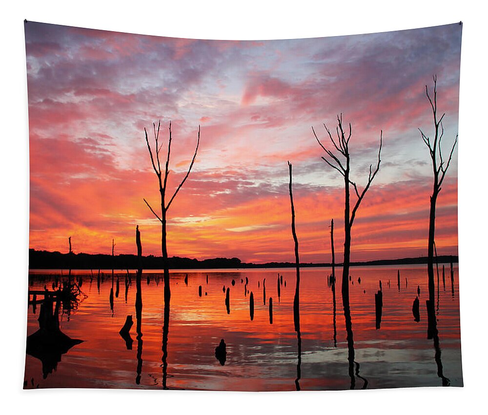 Sunrise Tapestry featuring the photograph Monday Morning by Roger Becker