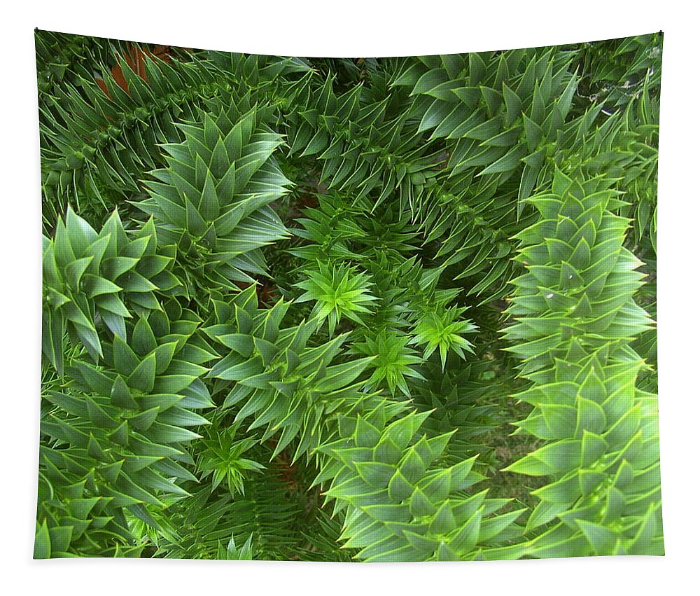 Monkey Tapestry featuring the photograph Monkey Puzzle by Steve Kearns