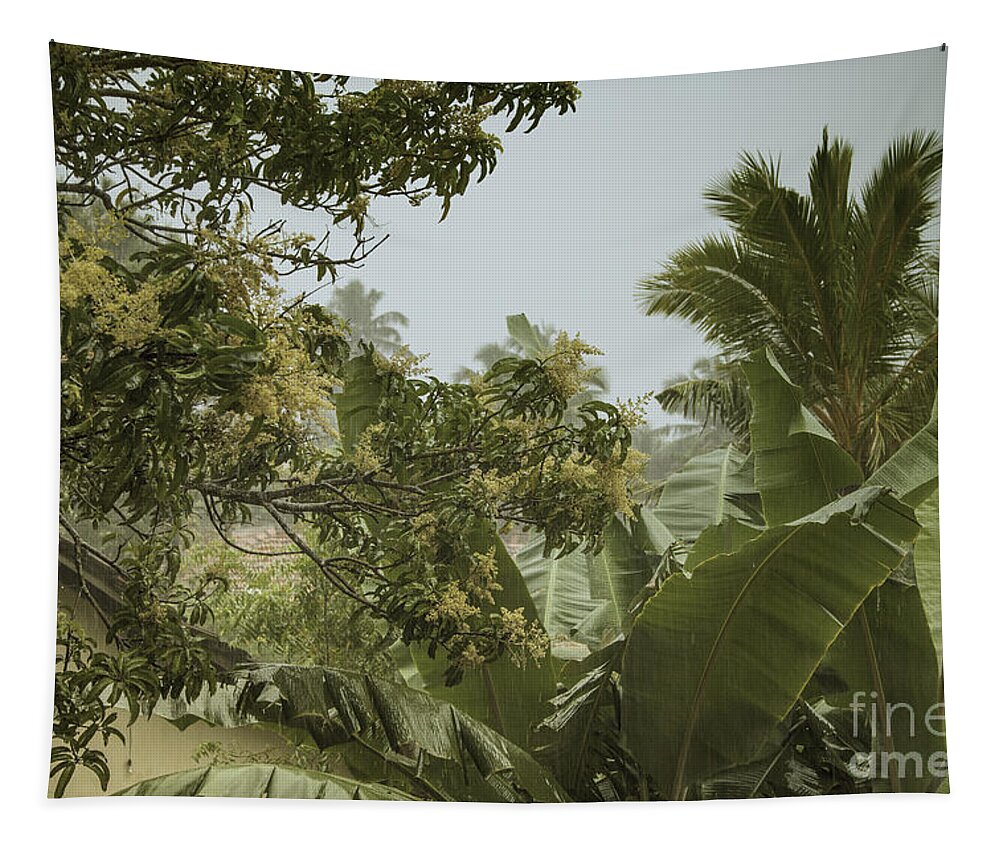 Coco Tapestry featuring the photograph Monsoon Rains in Sri Lanka by Gina Koch