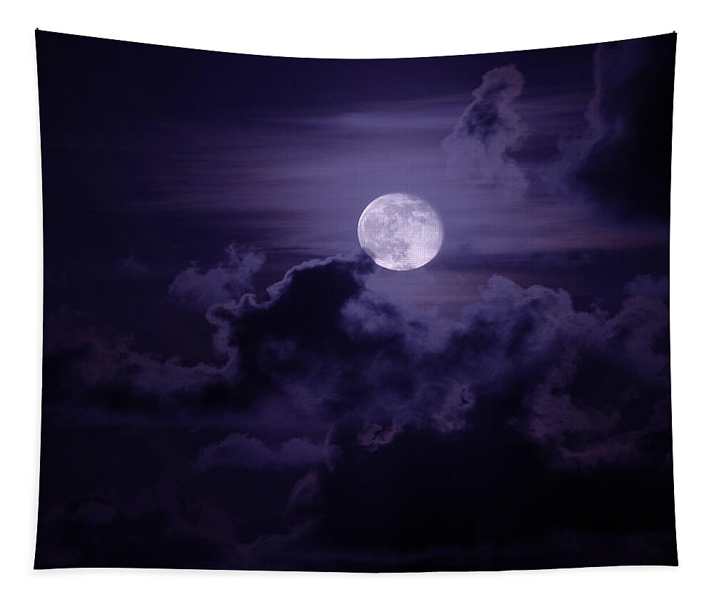 Nature Tapestry featuring the photograph Moody Moon by Chad Dutson
