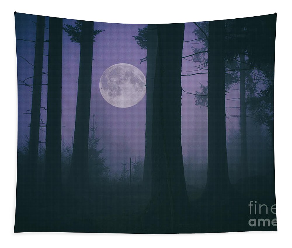Landscape Tapestry featuring the photograph Moon and Fog in a Forest by Sabine Jacobs