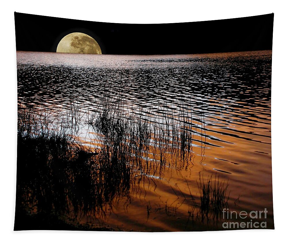 Photography Tapestry featuring the photograph Moon catching a glimpse of Sunset by Kaye Menner