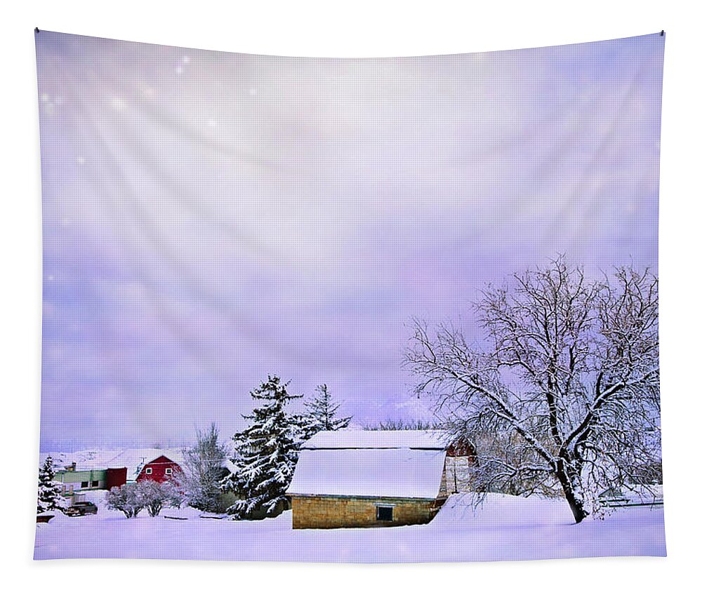Farm Tapestry featuring the photograph Moonlit Farm by Theresa Tahara