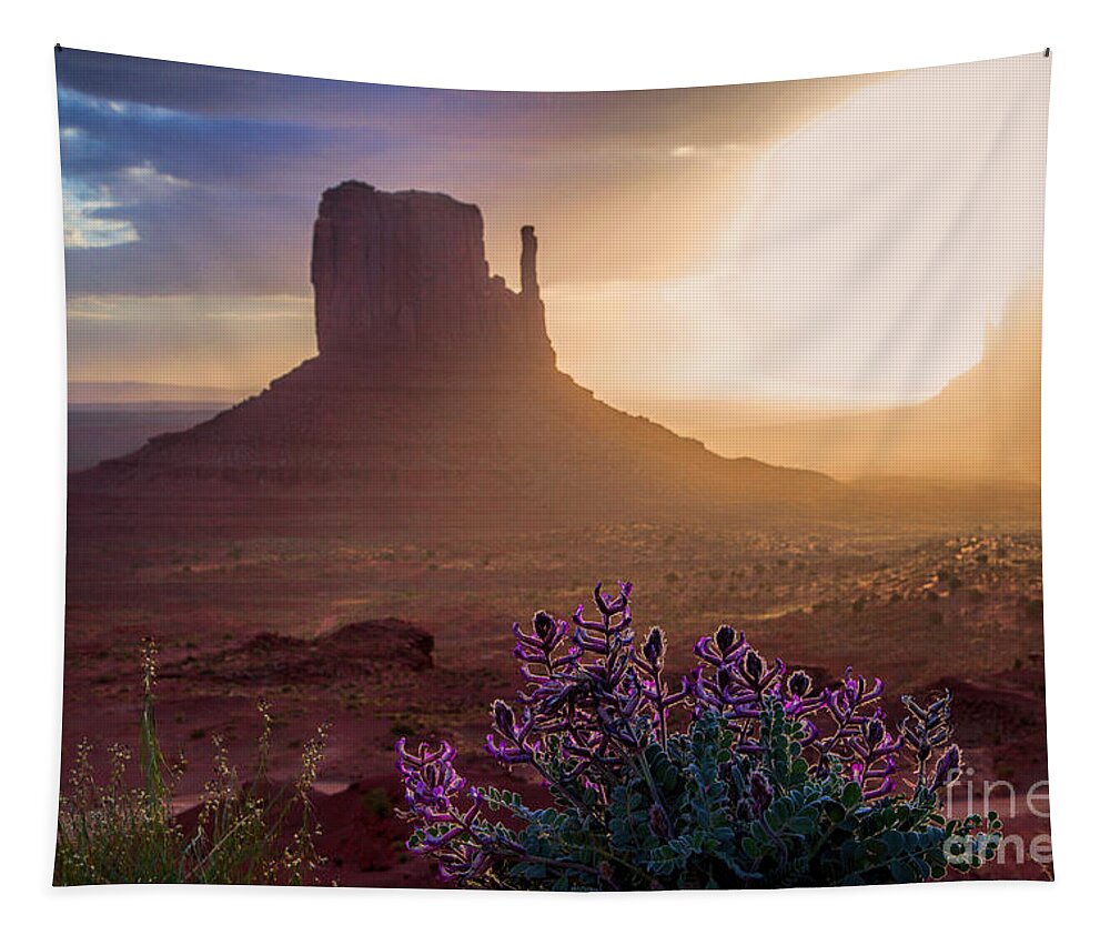 Utah Landscape Tapestry featuring the photograph Morning Bloom by Jim Garrison