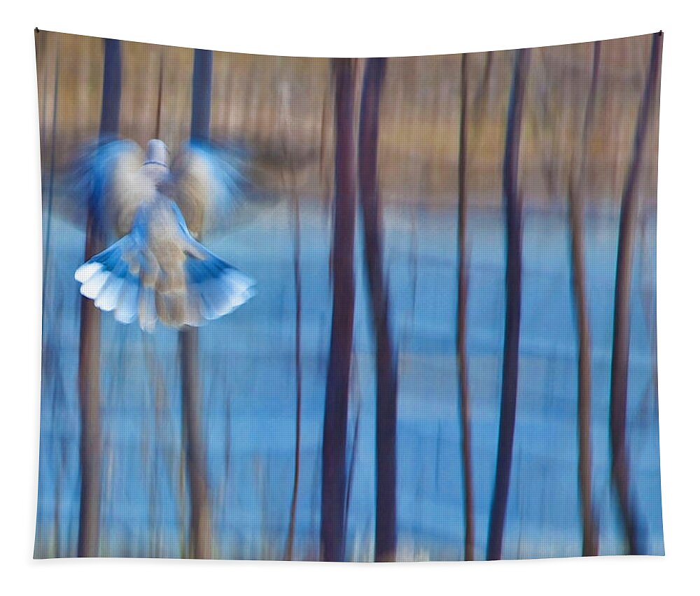 Poetry Tapestry featuring the photograph Morning Dove by Theresa Tahara