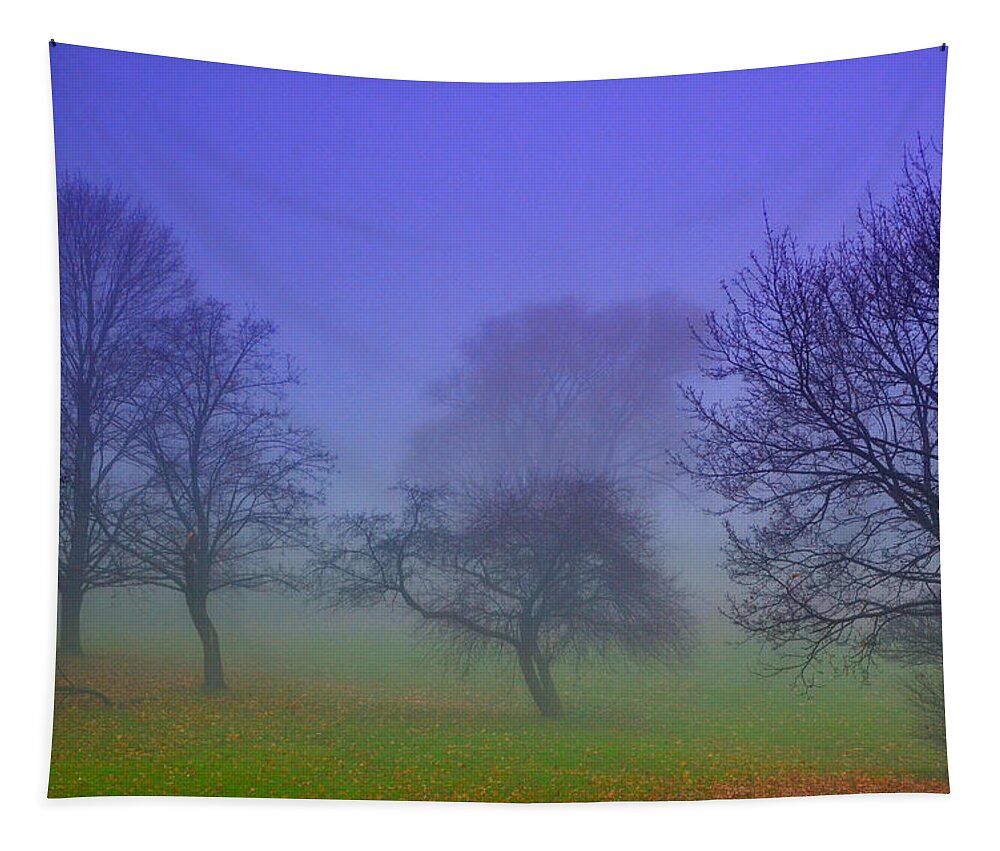 Color Tapestry featuring the photograph Morning Has Broken by Dragan Kudjerski