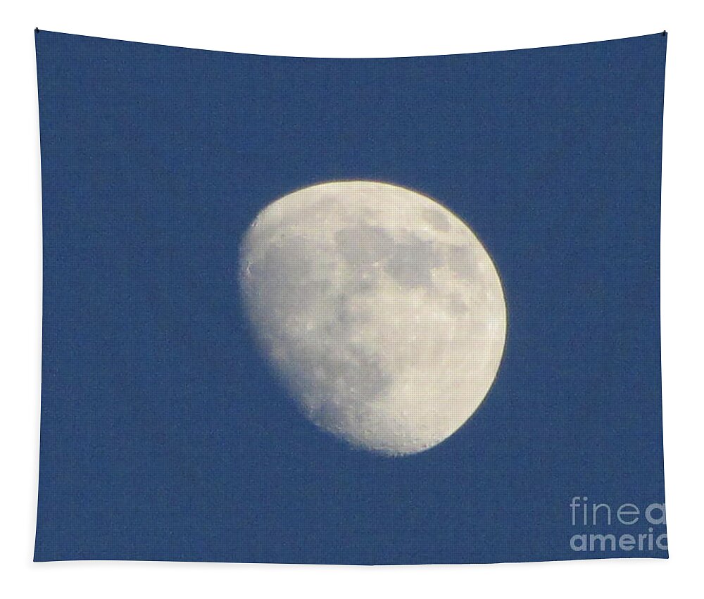 Moon Tapestry featuring the photograph Morning Man In The Moon by Susan Carella