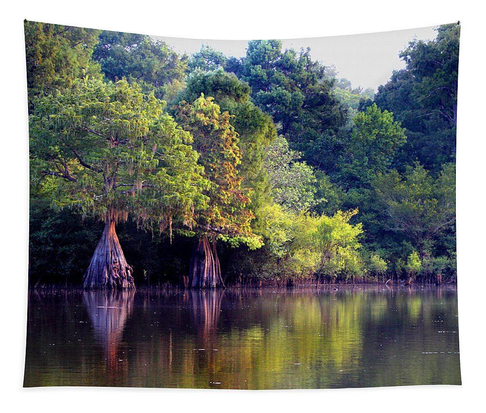 Florida Tapestry featuring the photograph Morning Reflections by Debra Forand