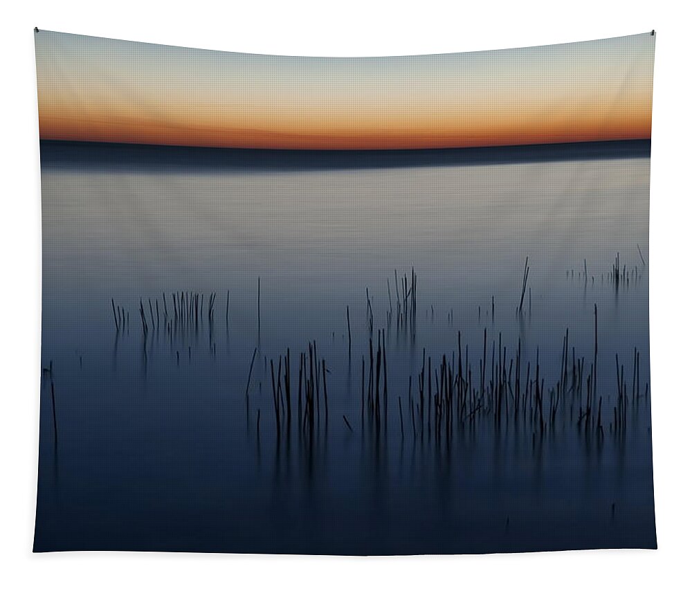 Dawn Tapestry featuring the photograph Morning by Scott Norris
