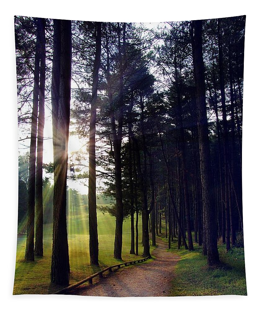 Sunrise Tapestry featuring the photograph Morning Walk by Steve Ondrus