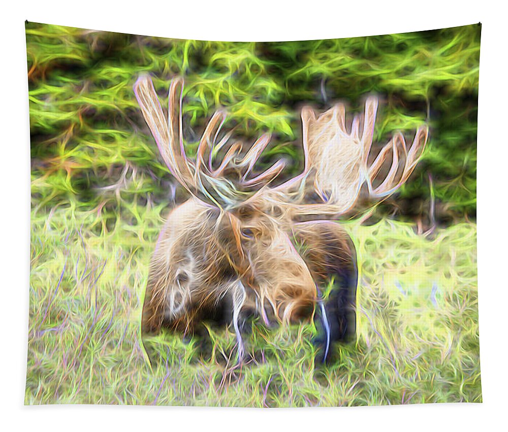North America Moose Tapestry featuring the photograph Moose Glow by James BO Insogna