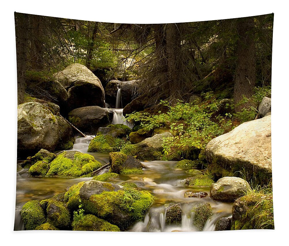 Beautiful Tapestry featuring the photograph Mossy Falls 1 by Roger Snyder