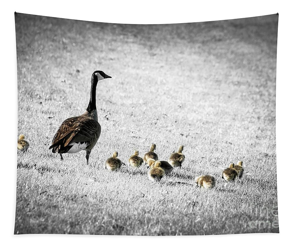 Goose Tapestry featuring the photograph Mother goose by Elena Elisseeva