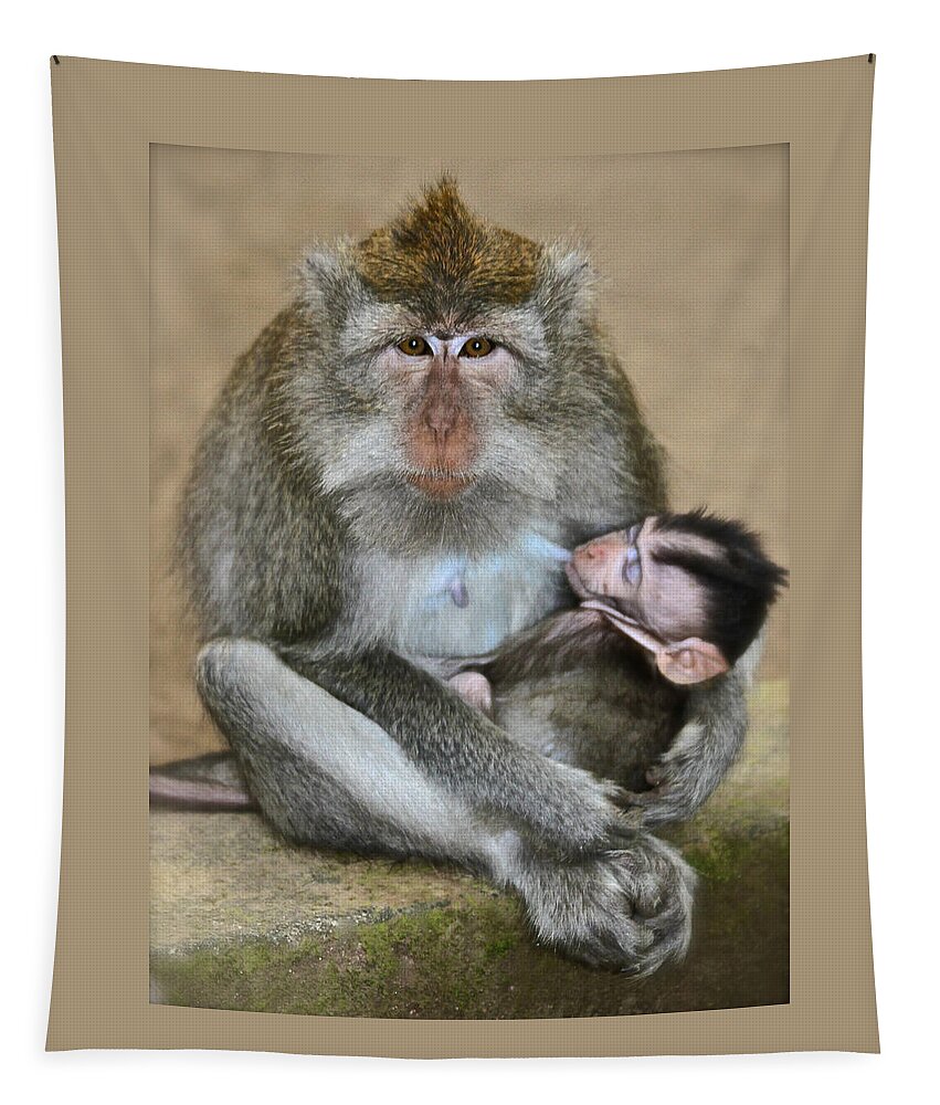 Monkeys Tapestry featuring the photograph Mother Macaque and her Baby by Venetia Featherstone-Witty