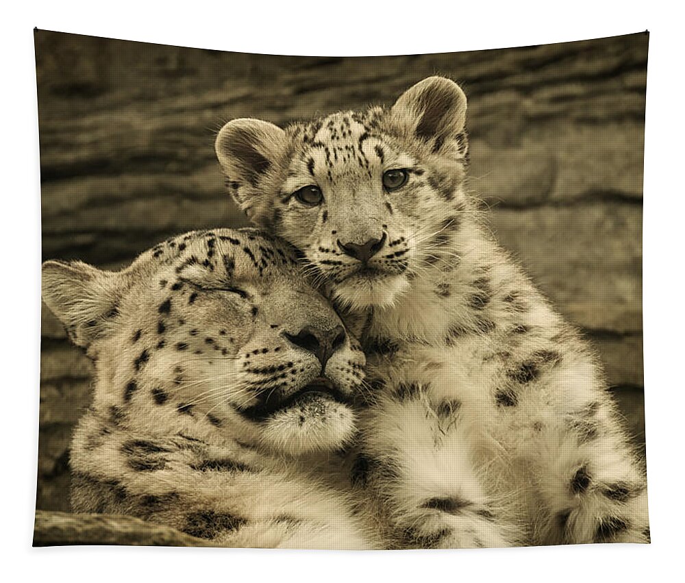 Marwell Tapestry featuring the photograph Mother's Love by Chris Boulton