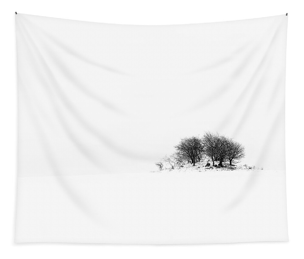 B & W Tapestry featuring the photograph Mound by Gert Lavsen