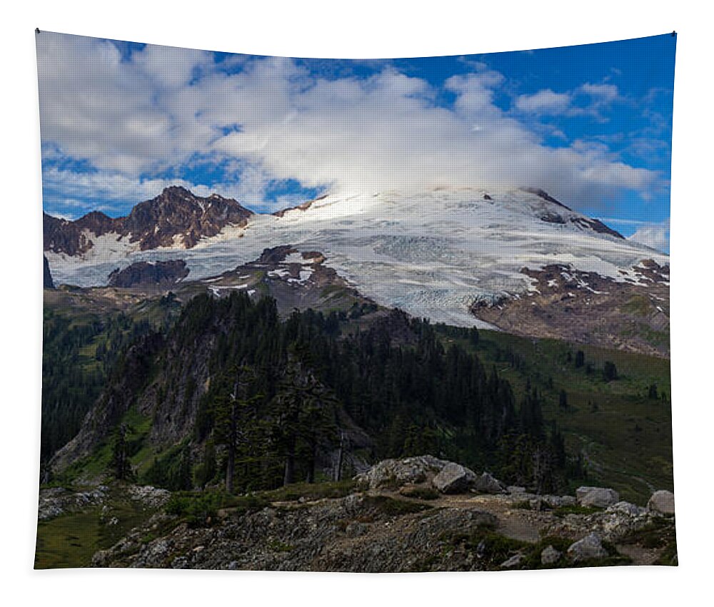 Baker Tapestry featuring the photograph Mount Baker View by Mike Reid