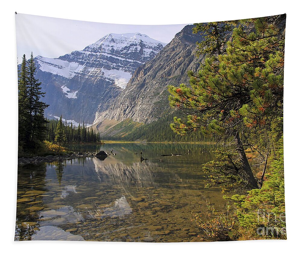 Reflection Tapestry featuring the photograph Mount Edith Cavell Reflection by Teresa Zieba