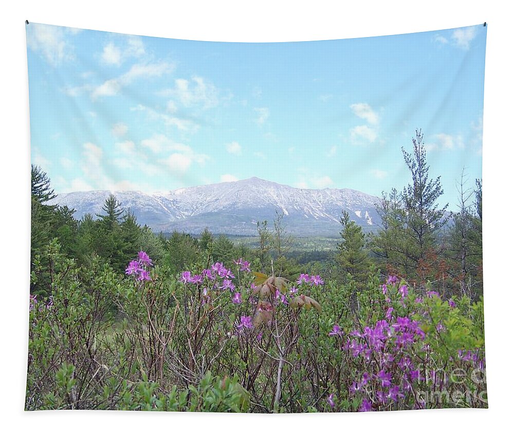 Mount Katahdin Tapestry featuring the photograph Mount Katahdin and Wild Flowers by Joseph Marquis