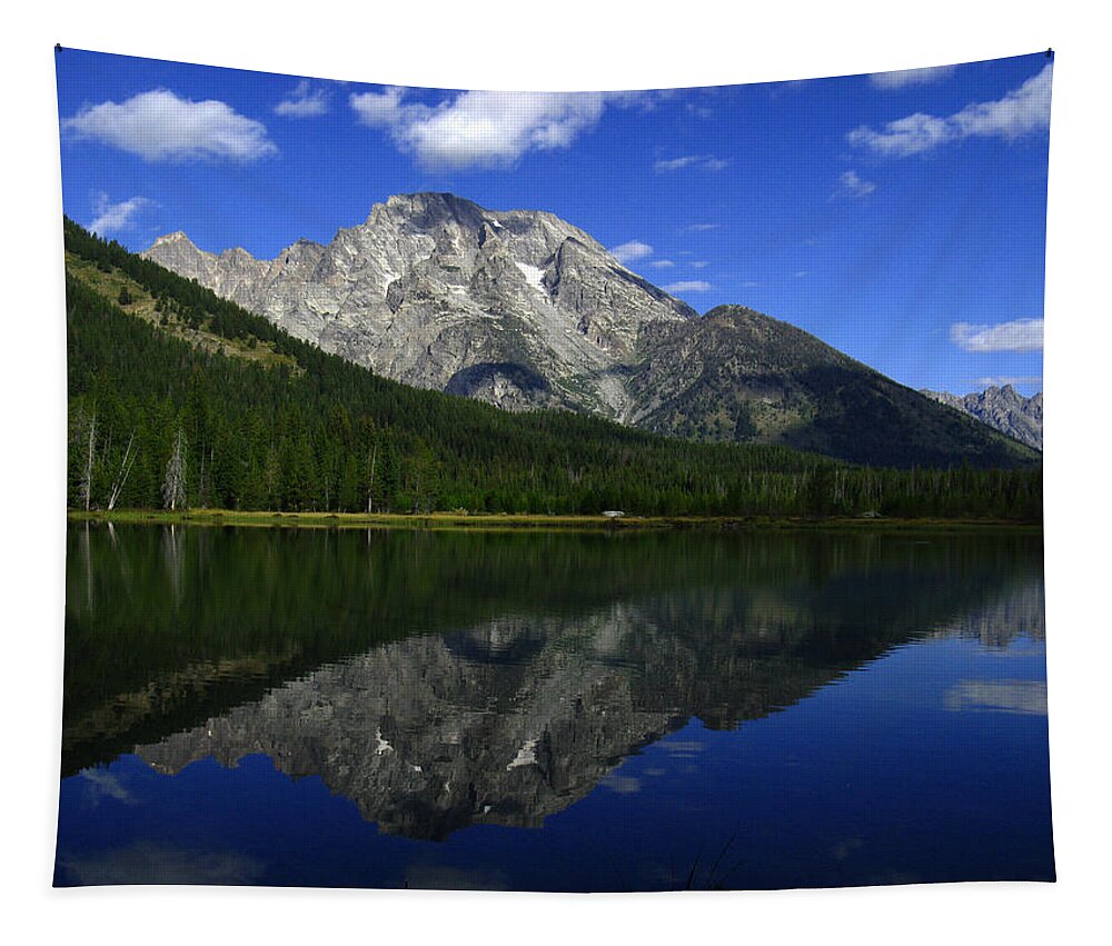 Mount Moran Tapestry featuring the photograph Mount Moran and String Lake by Raymond Salani III