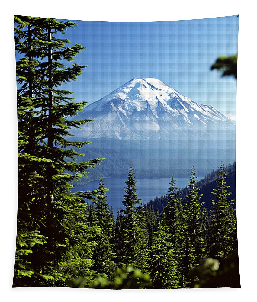Mount St. Helens Tapestry featuring the photograph Mount St. Helens And Spirit Lake by Thomas & Pat Leeson