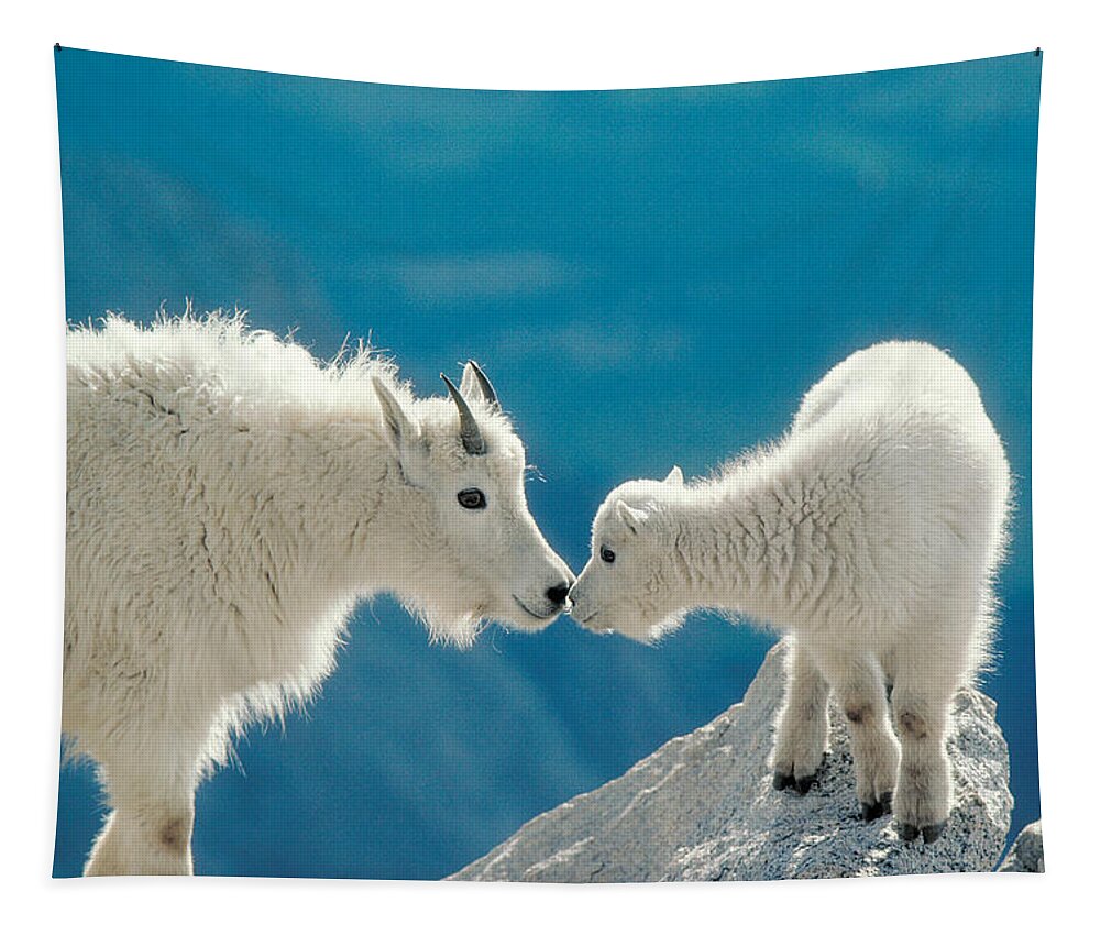 Mountain Goat Tapestry featuring the photograph Mountain Goat With Kid by Jerry L. Ferrara