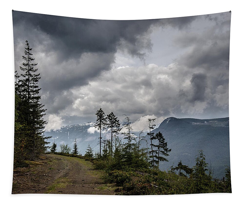 Mountains Tapestry featuring the photograph Mountain High Back Roads by Roxy Hurtubise