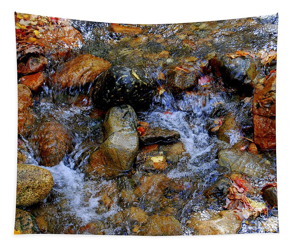 Water Tapestry featuring the photograph Mountain Stream In Autumn by Eunice Miller
