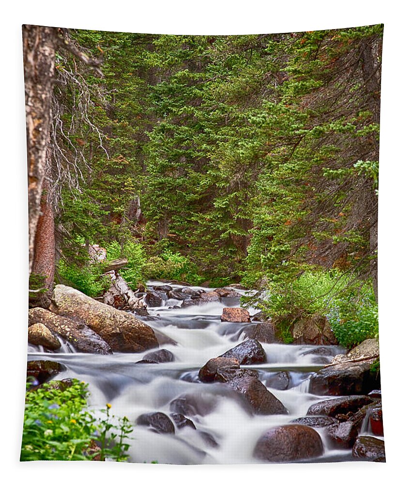 Mountain Stream Tapestry featuring the photograph Mountain Stream by James BO Insogna