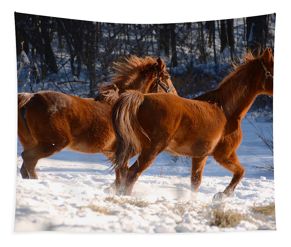 Horse Tapestry featuring the photograph Moving In Motion 2 by Tracy Winter
