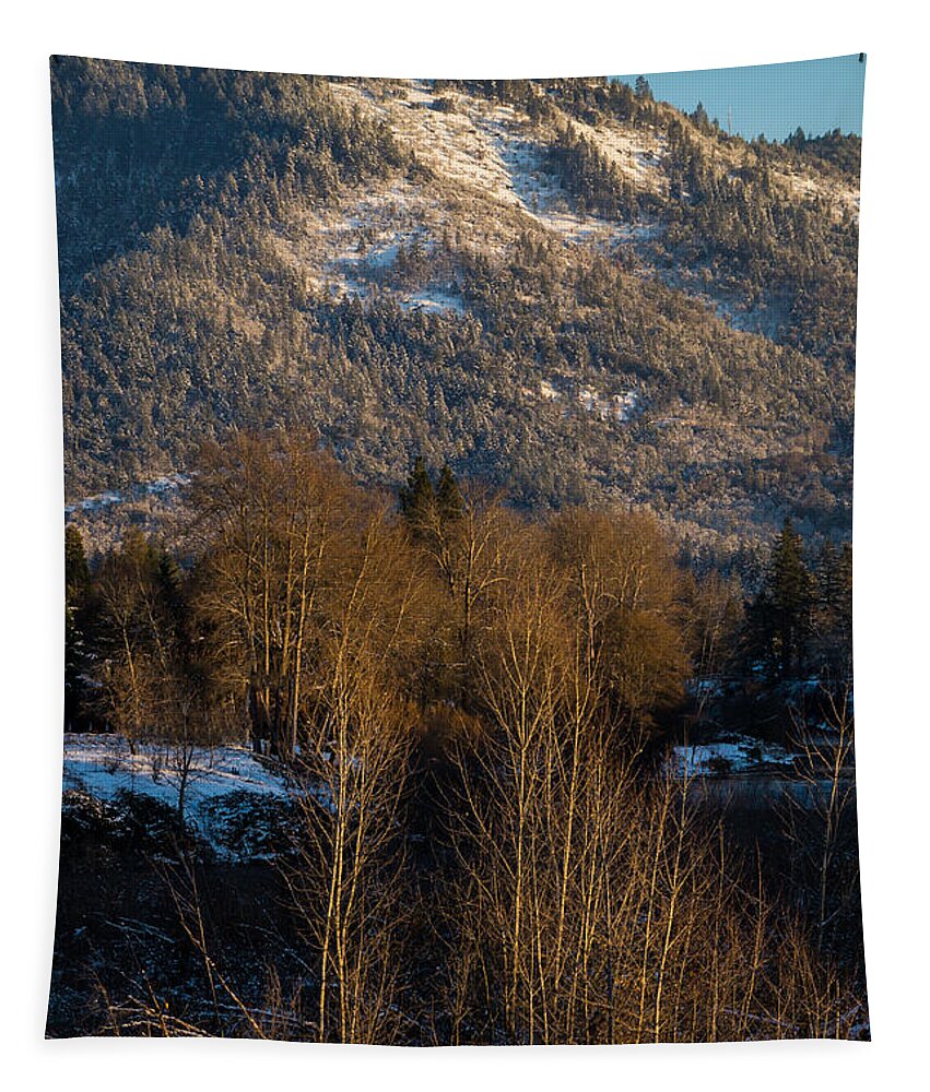 Mt Baldy Tapestry featuring the photograph Mt Baldy near Grants Pass by Mick Anderson