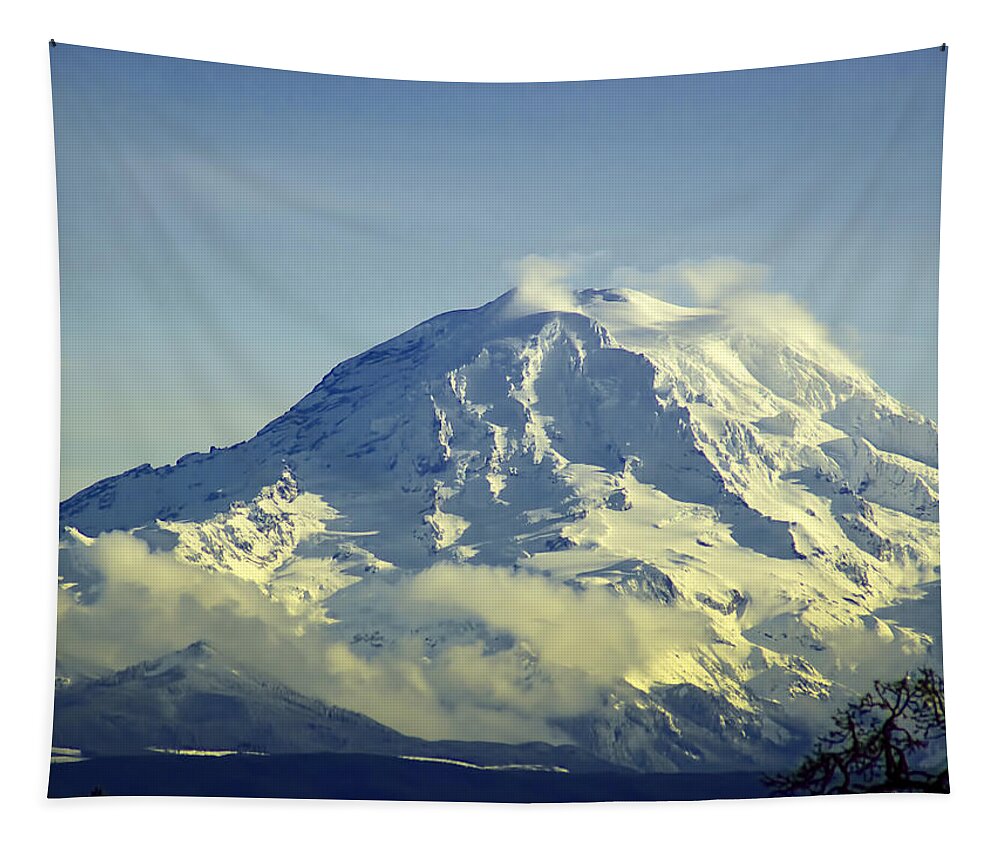 National Park Tapestry featuring the photograph Mt. Rainier Washington by Ron Roberts