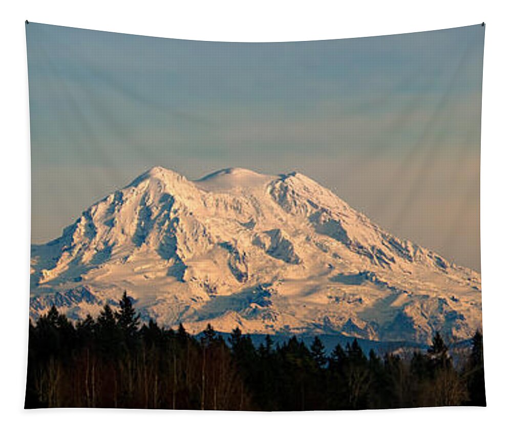 Mt Rainier Tapestry featuring the photograph Mt Rainier Winter Panorama by Mary Jo Allen