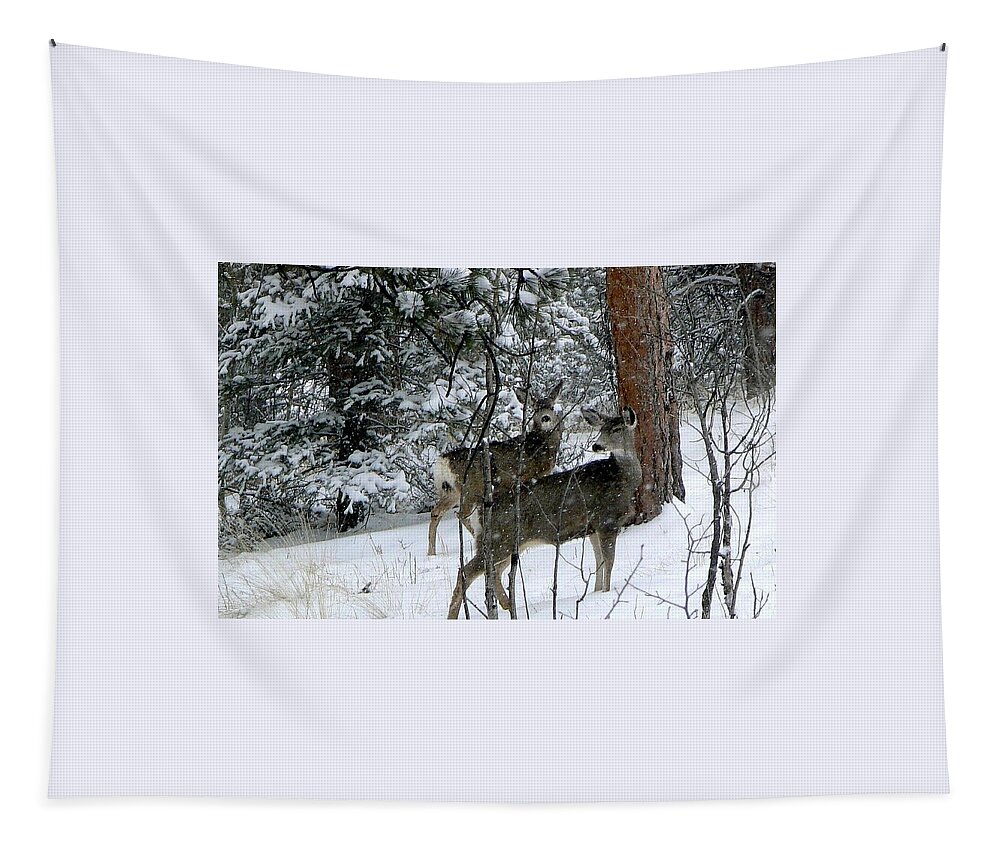 Colorado Tapestry featuring the photograph Mule Deer Does in a Snowfall by Marilyn Burton