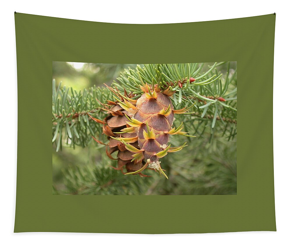 Pine Cone Tapestry featuring the photograph Multiple Generations by Shane Bechler