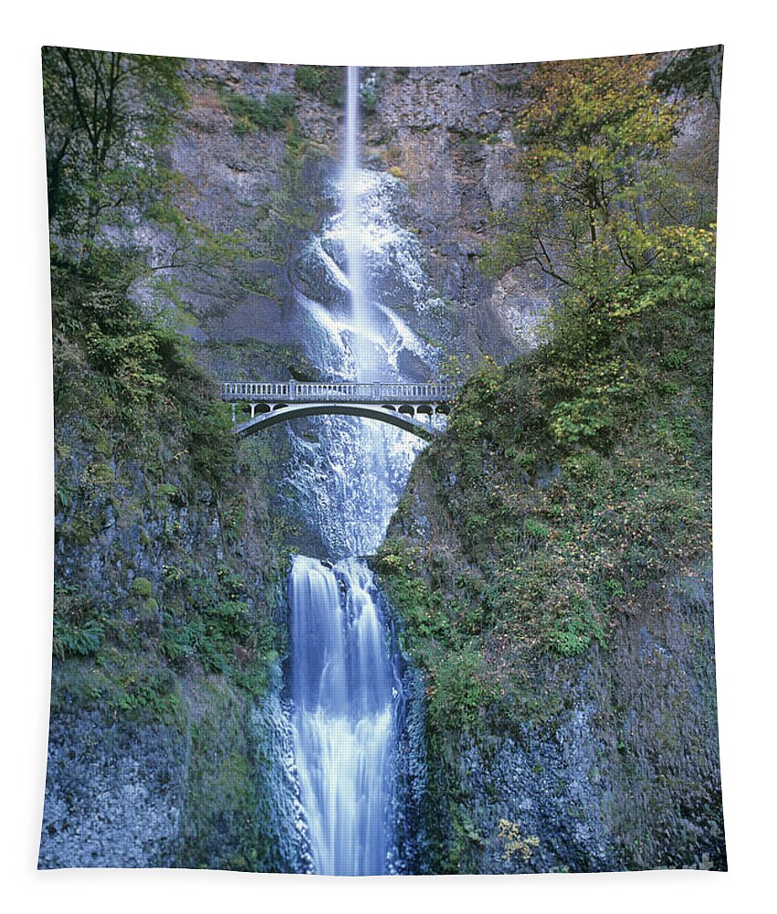 North America Tapestry featuring the photograph Multnomah Falls Columbia River Gorge by Dave Welling