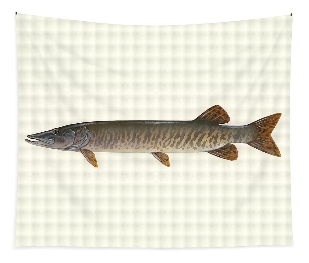 Fish Tapestry featuring the drawing Muskellunge by Mountain Dreams