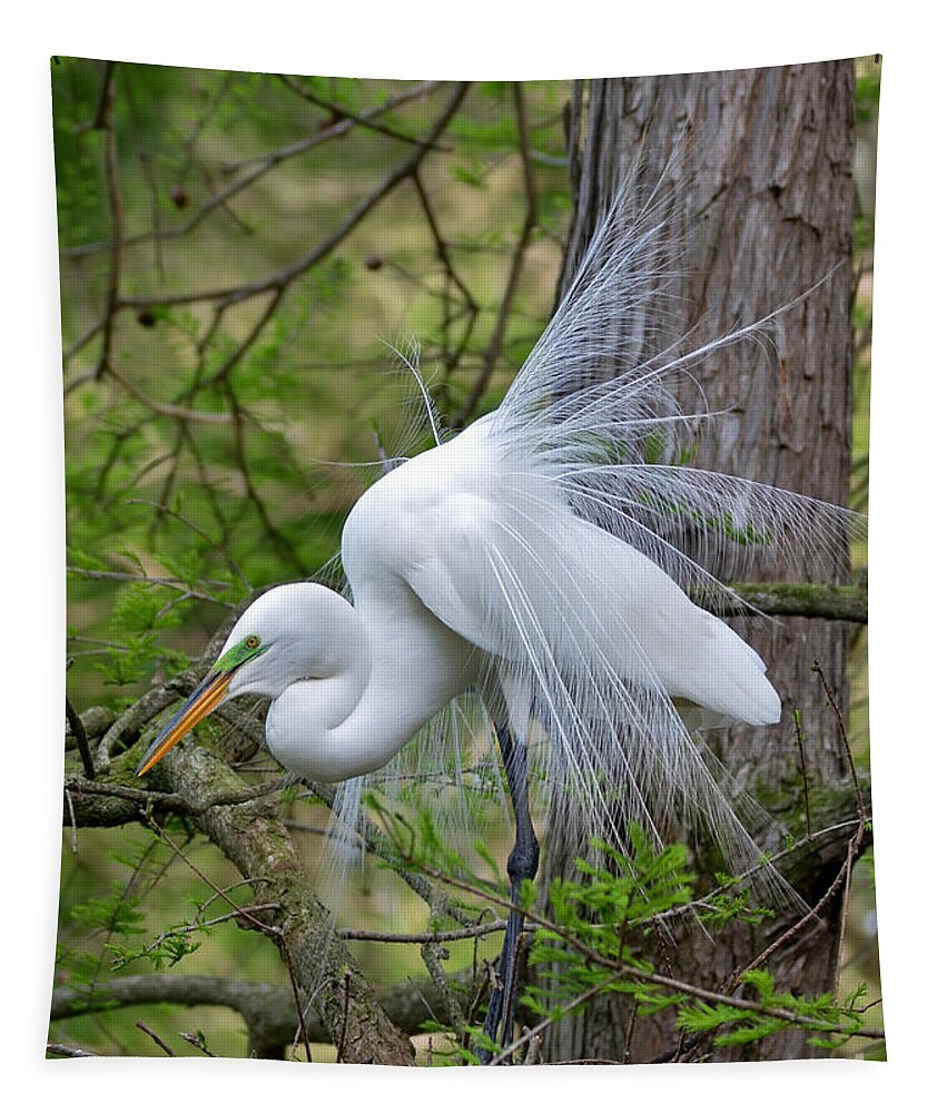 Egret Tapestry featuring the photograph My Beautiful Plumage by Kathy Baccari