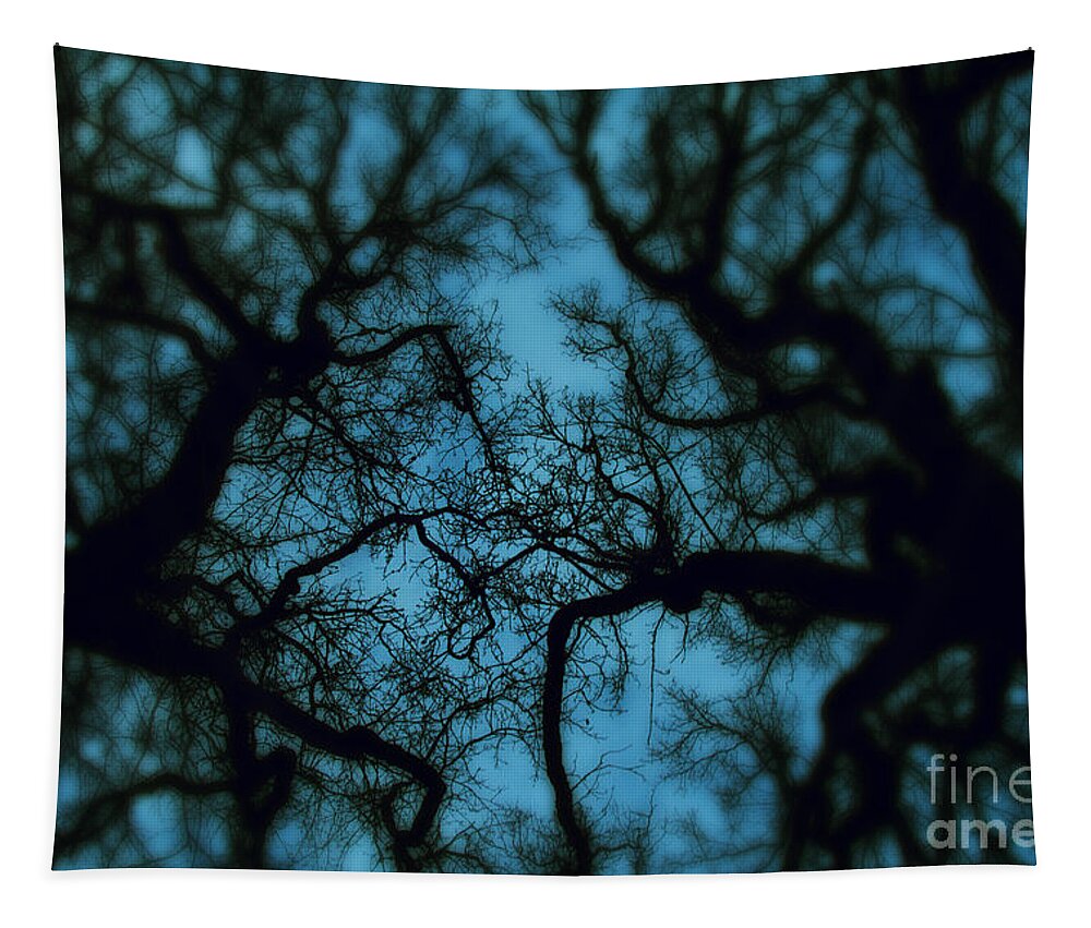 Autumn Tapestry featuring the photograph My Blue Dark Forest by Stelios Kleanthous
