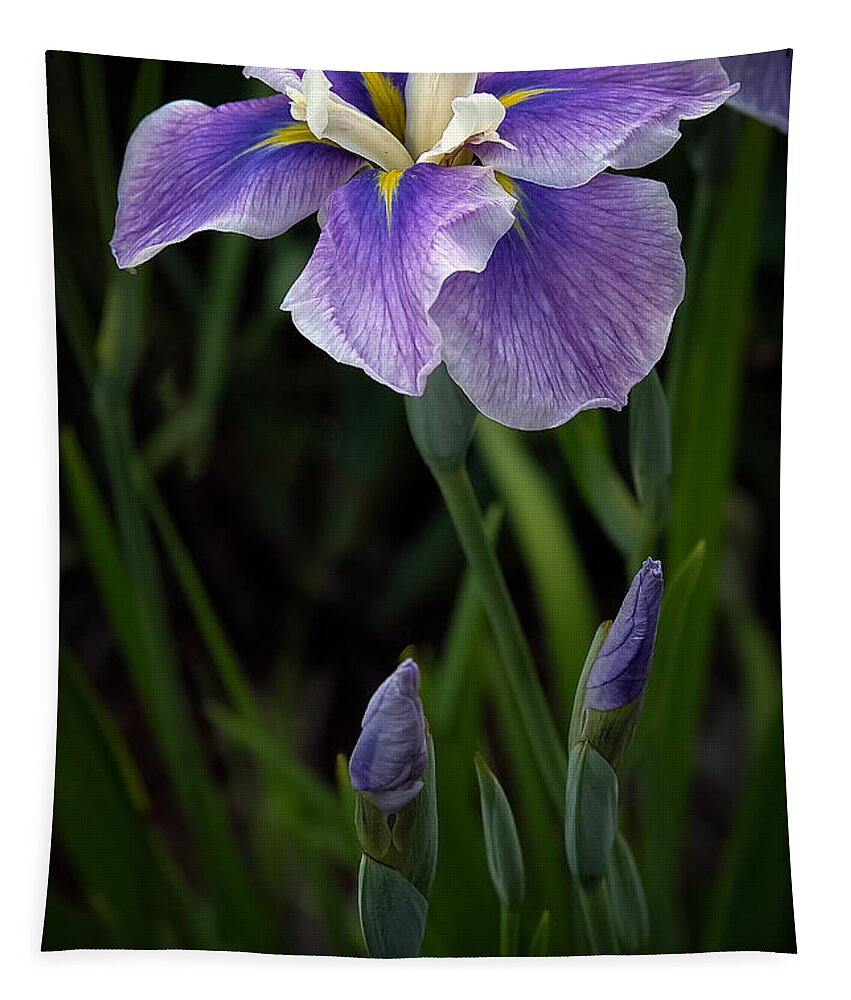 Iris Tapestry featuring the photograph My Iris by Penny Lisowski