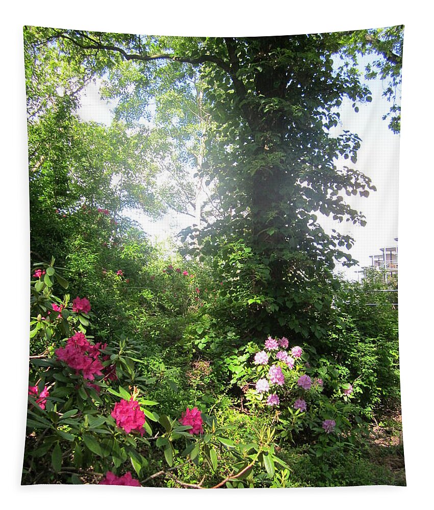 Trees Tapestry featuring the photograph My Haven by Rosita Larsson