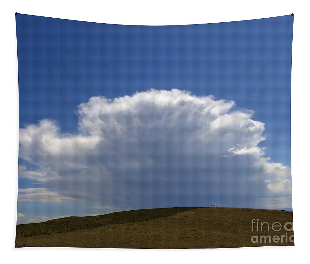 Clouds Tapestry featuring the photograph My Sky View - 2 by Kae Cheatham