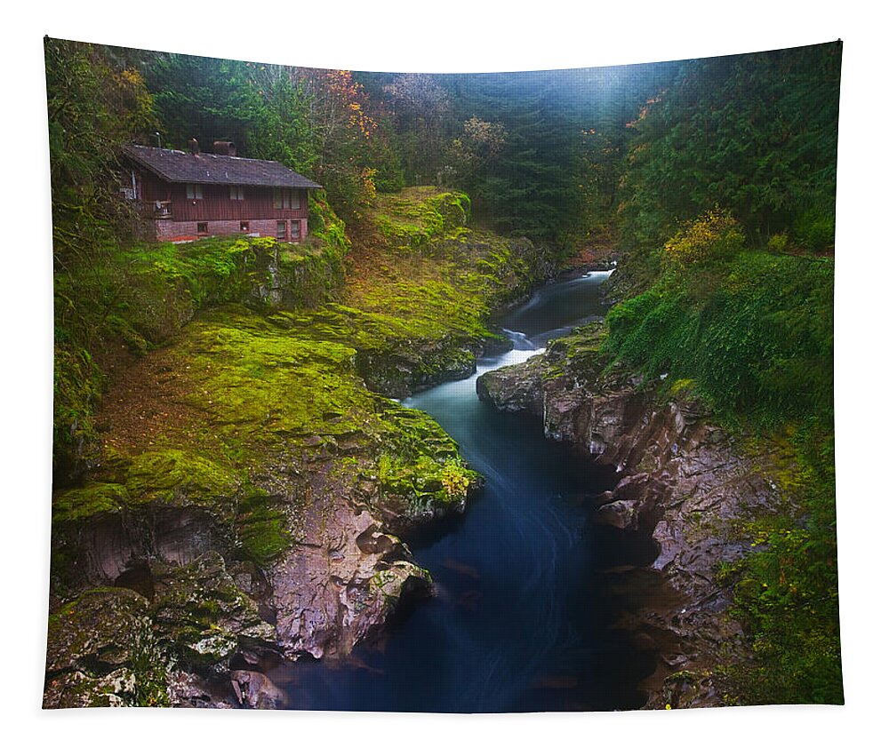 Fog Tapestry featuring the photograph Mysteries of the Lewis House by Darren White